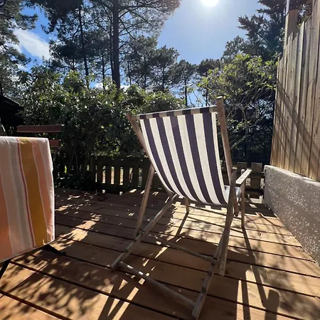 Petite Maison Au Coeur De La Pinede * Lacanau